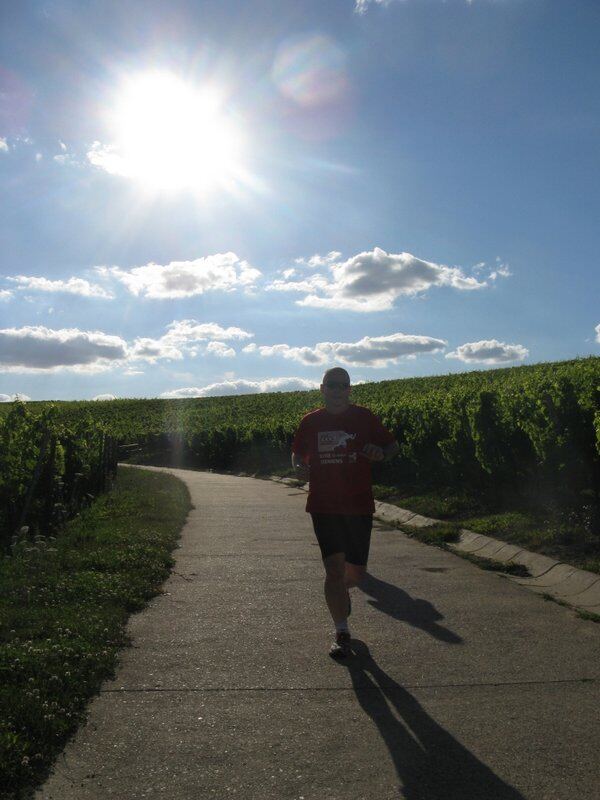 Weg durch die Weinberge